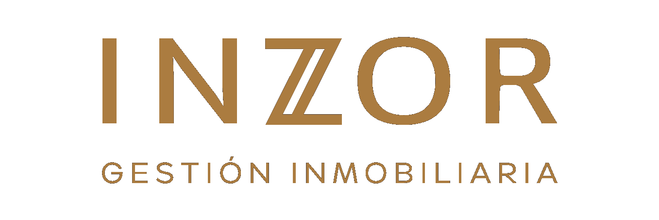 inzor logo transparent
