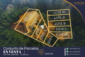 jardin los cactus