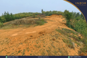 jardin los cactus (4)