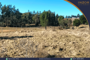 san alfonso web(1)
