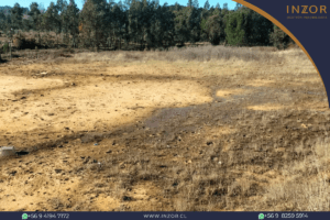 san alfonso web(2)