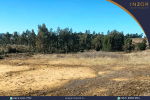 san alfonso web(3)