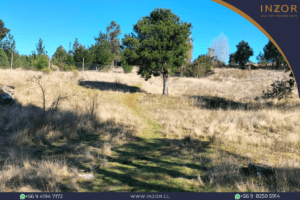 san alfonso web(4)