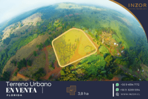 terreno florida